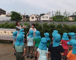 田植え　2015　2.JPG
